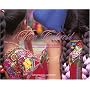 Viva Colores/  Vivid Colors: A Salute to the Indomitable People of Guatamala / Un Saludo a La Indomable Gente De Guatamala