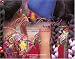 Viva Colores/ Vivid Colors: A Salute to the Indomitable People of Guatamala / Un Saludo a La Indomable Gente De Guatamala
