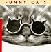 Funny Cats