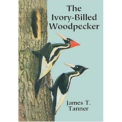 The Ivory-Billed Woodpecker