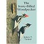The Ivory-Billed Woodpecker