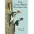 The Ivory-Billed Woodpecker