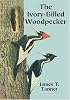 The Ivory-Billed Woodpecker