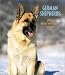 German Shepherds 2004 Calendar