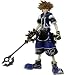 Kingdom Hearts 2 Play Arts SORA Wisdom Form Cover