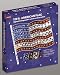 CELEBRATIONS INLITEN-K 87656 LIGHT HOLOGRAPHIC AMERICAN FLAG 120