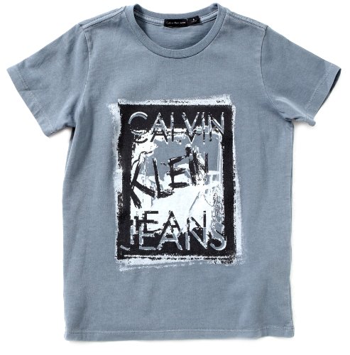 Calvin Klein Jeans Jungen T-Shirt CBP256 JJV3K, Gr. 164 (14 Jahre), Blau (715) Preisvergleich