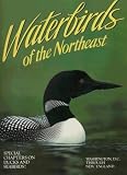 Waterbirds of Northeast
