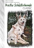 Weisse Schäferhunde Classic