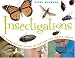 Insectigations: 40 Hands-on Activities to Explore the Insect World