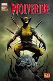 Produkt-Bild: Wolverine (Vol. 3) #16 - Wolverine in der H&ouml;lle (2011, Panini)
