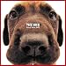 Artlist Collection the Dog 2005 Calendar Great Dane (Multilingual Edition)