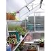 RIGA II s 54 Square Foot Greenhouse Bottom Shelf with 25\