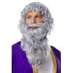 Biblical Moses Long Grey Wig & Beard