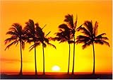 Hawaiian Sunset [PH-0187] [�|�X�^�[]