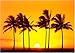 Hawaiian Sunset [PH-0187] [�|�X�^�[]