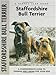 Staffordshire Bull Terrier (Kennel Club Dog Breed Series) by Jane Hogg Frome
