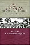 Place In American Fiction: Excursions And Explorations