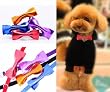 Tuxedo Metallic Sheen Bow Tie Collar for Dogs and Cats - Mystic Purple