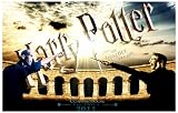 Harry Potter And The Deathly Hallows Part II Poster Movie D 11 X 17 Inches  28cm X 44cm