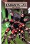 Tarantulas