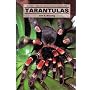 Tarantulas