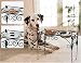 Pet Dog Adjustable Raised Double Feeder