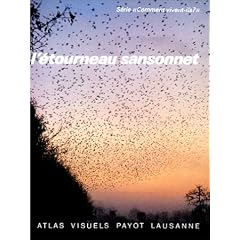 L'�tourneau sansonnet