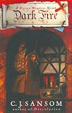 Dark Fire: A Novel