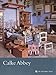 Calke Abbey (National Trust Guidebooks)