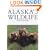 Alaska's Wildlife