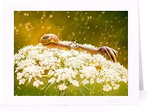 Handmade Funny Love Card of snails - frameable metallic photo