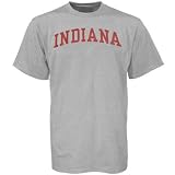 Indiana Hoosiers Ash Arch Logo T-shirt