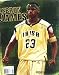 A Tribute To: LEBRON JAMES (Collector's Edition)