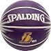 spalding | la lakers teamball