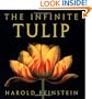 The Infinite Tulip