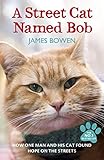 A street cat named Bob