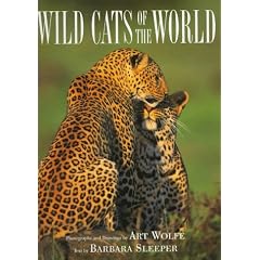 Wild Cats of the World