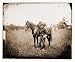Civil War Photo (M): Bealton Virginia. Capt. Henry Page assistant quarter master at A...