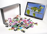 Photo Jigsaw Puzzle of Birch Tree - leaves and catkins from Ardea Wildlife Pets