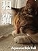 和猫～Japanese Bob Tail