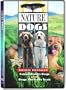 Nature: Dogs