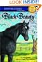 Black Beauty (A Stepping Stone Book(TM))