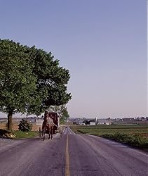 Amish Buggy Photograph - Beautiful 16x20-inch Photographic Print by Carol M. Highsmith
