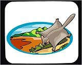 Decorated Mouse Pad with flying, squirrel, tail