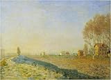 Fine Oil Painting,Claude Monet MT115 20''x24''