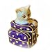 Kitten Pill Box Swarovski Crystals Persian Cat in Handbag Trinket Box Purple White Suitcase FREE SHI