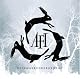 Decemberunderground by AFI