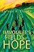 Book Immokalee's Fields of Hope