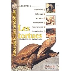 Les tortues terrestres et aquatiques